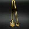 Ukraine National Emblem Pendant Necklace for Women Men Stainless Steel Simple Flag Ukrainian Symbol Chain Jewlery NZZZ425-1S02