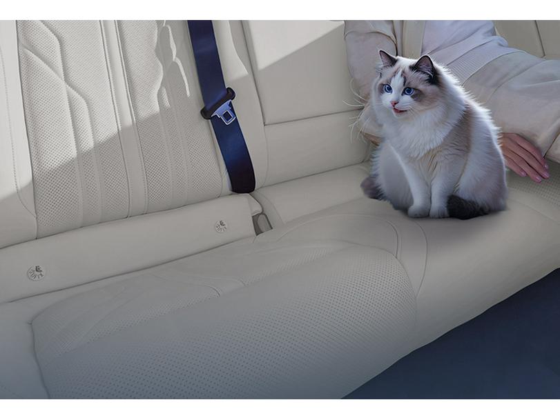 BYD N8L DM Kopfstütze & Lendenwirbelstütze: Nackenkissen & Auto-Innenraumdekoration