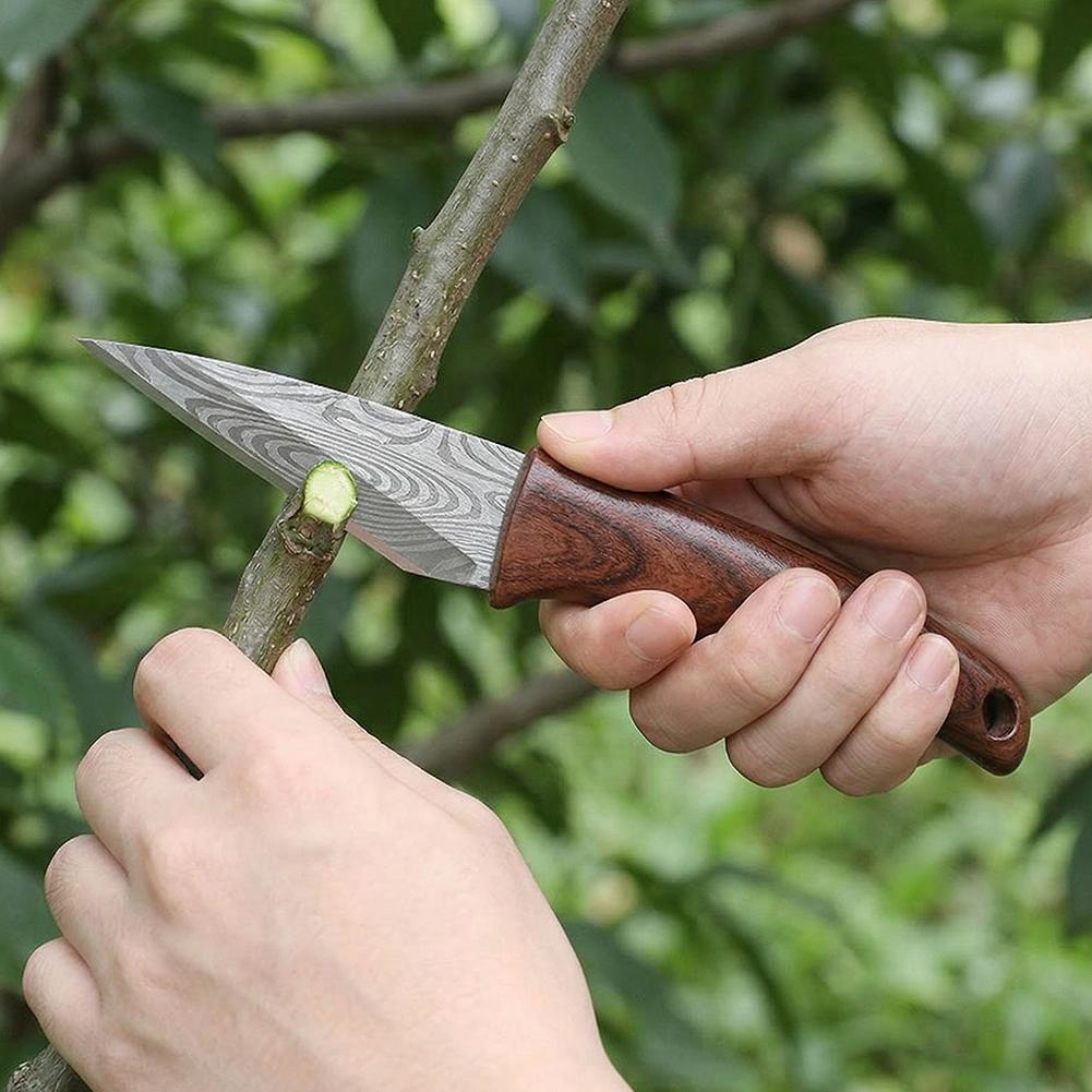 Fruit Tree Grafting Knife - Super Sharp Blade for Grafting Branches & Specialized Pruning Tool with Free Grafting Tape