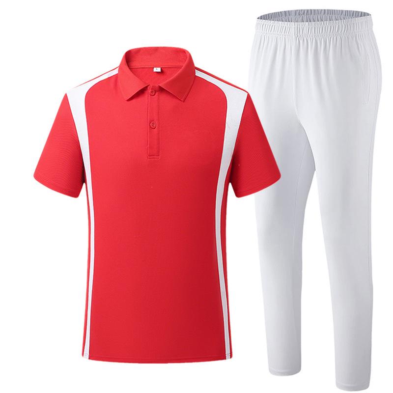 Chinese Team Sportswear: Lapel Short Sleeve Polo & Long Pants Set for Martial Arts Coaches