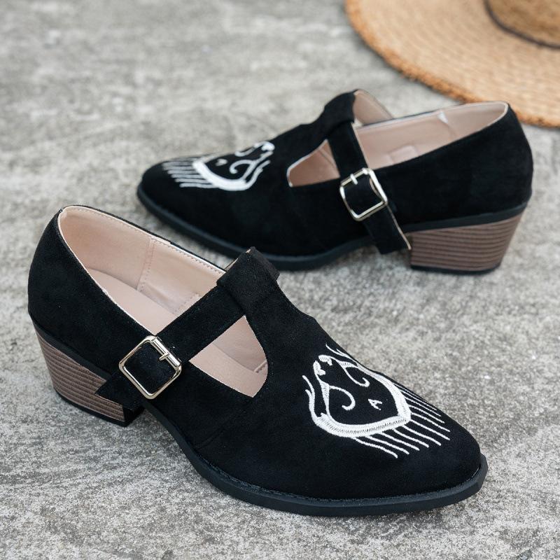 Large Size Pointed Single Shoes Autumn New European and American Light Mouth Thick Heel Embroidered Single Shoes