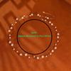 Luxury Beaded Choker Necklace Exquisite Collarbone Chain Brilliant Neck Pendant  Birthday Gift