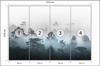 Photomural Forest In Fog Structural Vinyl 315x210