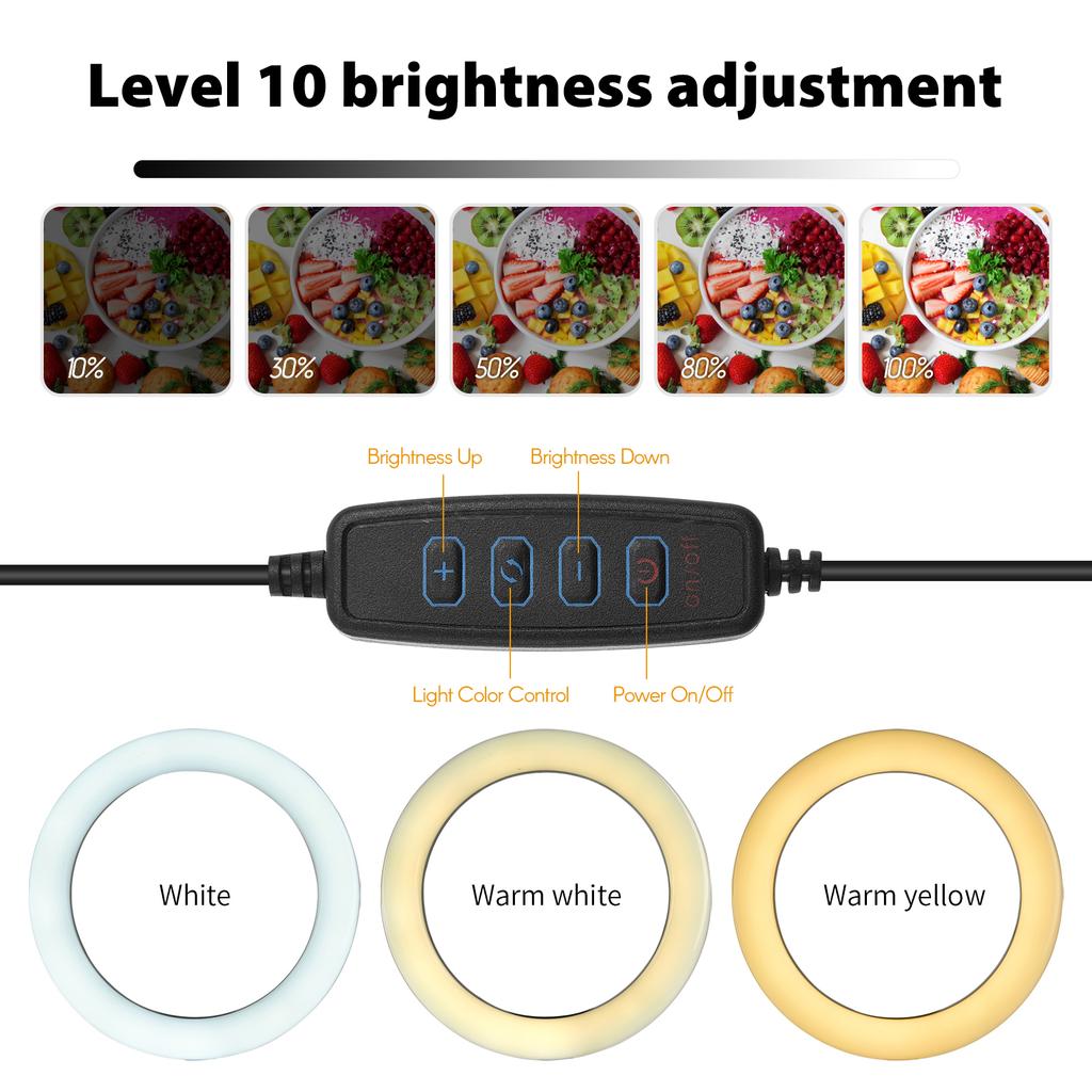 6'' Ring Light for Laptop, Computer Clip Video Fill Light Conference Ring Beauty Live Light  for