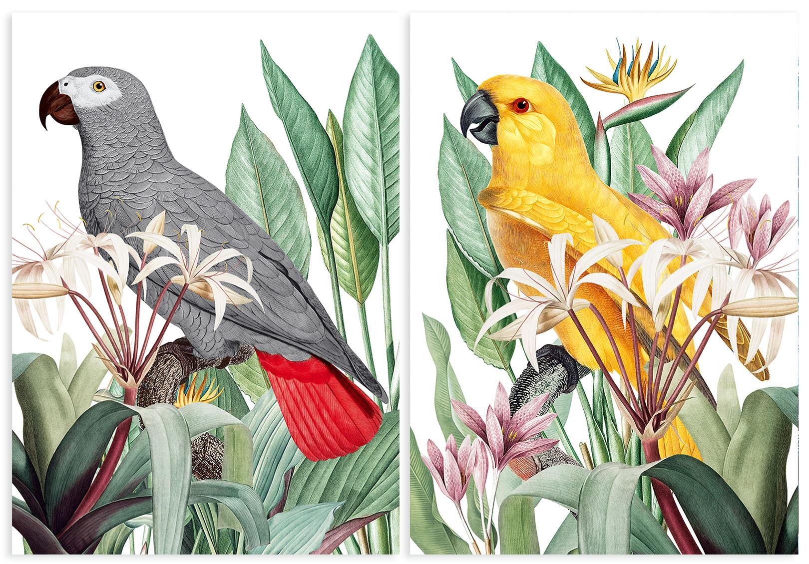 

Zestaw dwóch plakatów botanicznych 21x29,7 cm A4