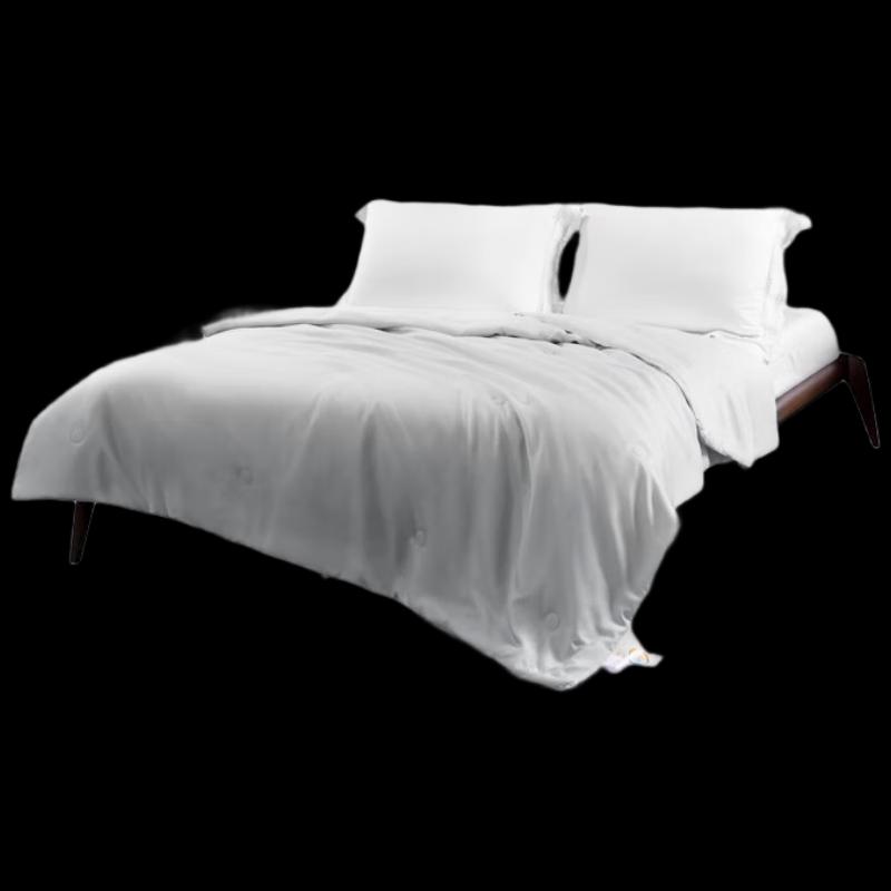 

Mercure Home Tussah Silk Lyocell Summer Quilt