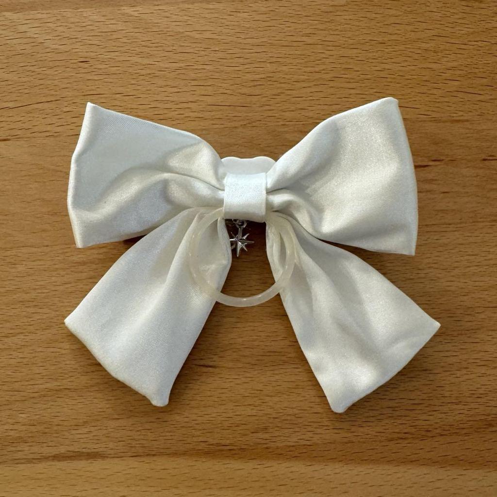 [USED] Anonymous Shipping Stray Kids Penlight Ribbon PuppyM