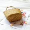 Casual Straw Bag Natural Wicker Tote Bags Women Braided Handbag for Garden Handmade Mini Woven Rattan Bags