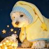 Cute Quick-drying Dog Bathrobe Absorbent Soft Puppy Robe Nightwear Pet Bathing Supplies Dog Towel For Small Large Dog