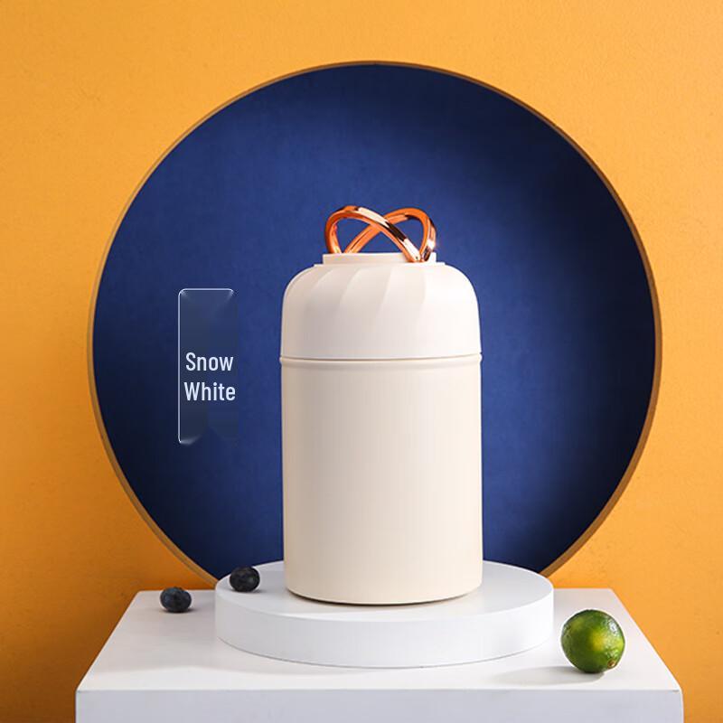 Insulated Stainless Steel Food Jar