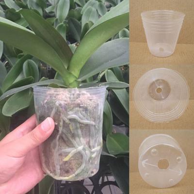 10 Stück/Set Robuster Transparenter Pflanzenzuchttasse Kunststoff Praktisches Drainageloch Pflanzenzuchttopf für Zuhause