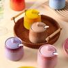 Gradient Colored Ceramic Spice Jar Lid Kitchen Canisters Modern Sugar Pot  Salt