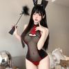 Passionate Temptation See-through Mesh Bodysuit Bunny Girl Quick Release Set