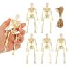 10 Pcs Mini Skeleton Figurine Decoration 6" Posable Human Bone Statue Plastic Skull Prop for Halloween Home Haunted House Party Favors
