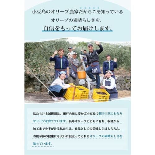 Inoue Seikoen Olive Oil Hand Cream, 60g, Highly Moisturizing, Fragrance-Free