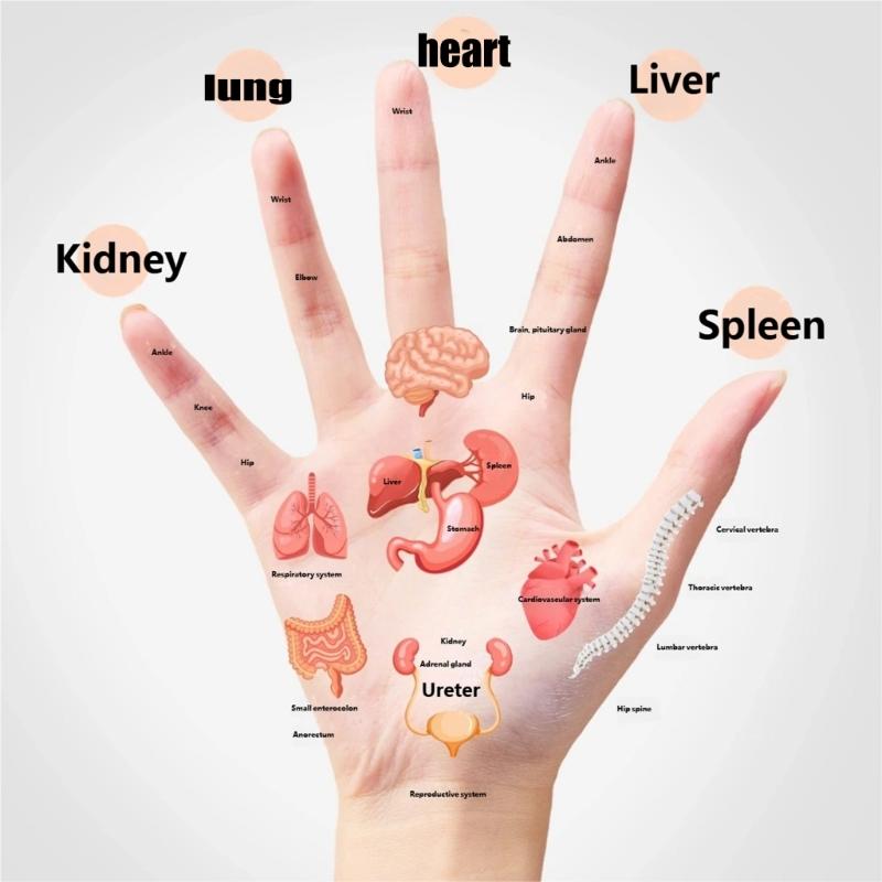 Natural Wood Hand Massage Tool for Carpal Tunnel Relief Acupressures Finger Roller Multipurpose Hand Massage Device