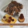 American Pine Oil Christmas Tree Ornaments: Dalin Head Pine Cone Pendants