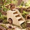 Chew-Proof Hamster Hideout House Wooden Small Pet Shelter Exercise Hamster Climbing Ladder  Gerbil