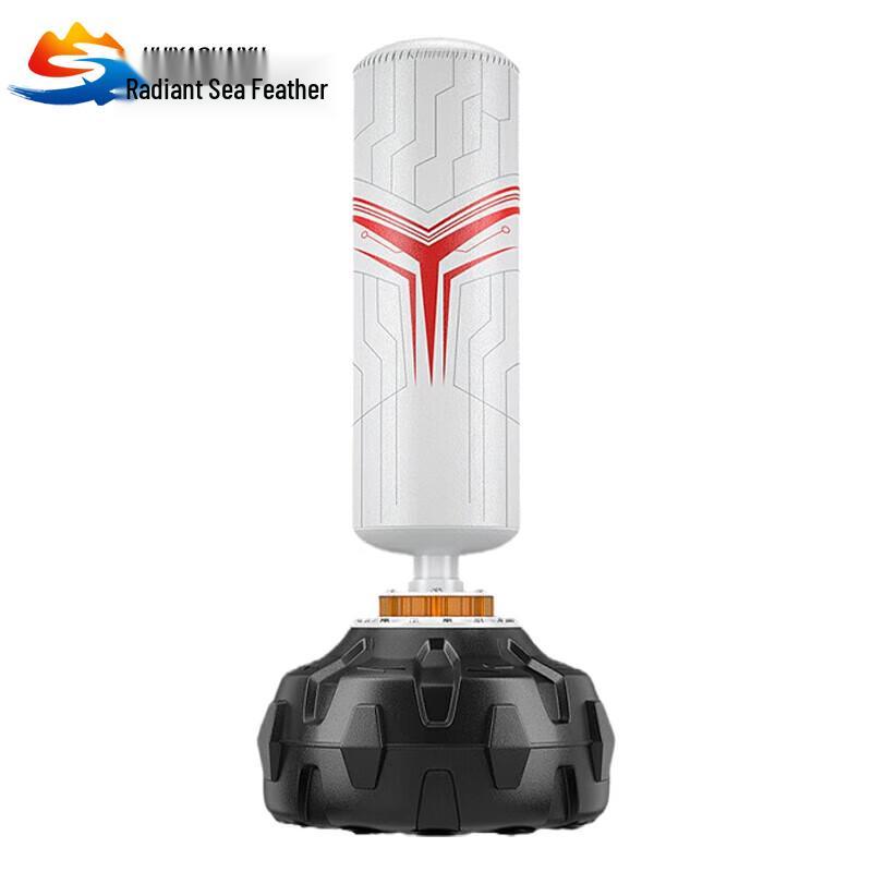 Huiyao Haiyu Freestanding Boxing Punching Bag Set