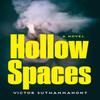 Hollow Spaces by Victor Suthammanont Hardback Book 9781640097117