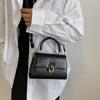Women's Bag New Crossbody Bag Handheld Small Square Bag Fashion Shoulder Bag
