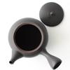 Tokoname-yaki Gyokumitsu Kiln Teapot with Ceramesh Ceramic Tea Strainer (Large Capacity, Approx. 480ml) - Black Kiln-Change Finish with Striped