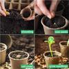 Degradable Plant Nursery Pots Vegetable Seedling Plant Pot for Greenhouse Planting Garden Flower Plant Container Cups