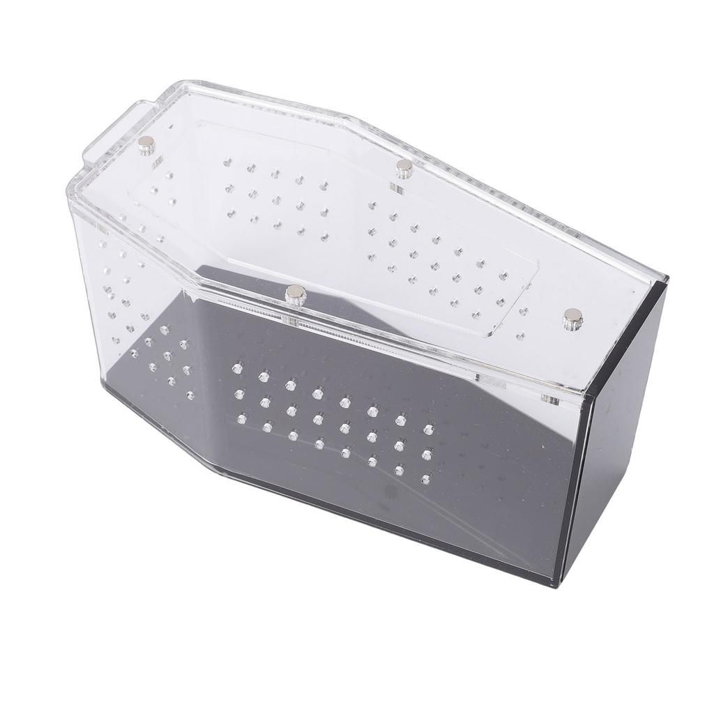Acrylic  ing Spider Enclosure Versatile Ventilated Transparent Reptile Terrarium Box for Tarantula         Crab