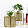 Nordic Light Luxury Gold Hollowed Flower Pot Fashion Creative Balcony Plant Stand Simple Atmosphere Indoor Decorative Shelf