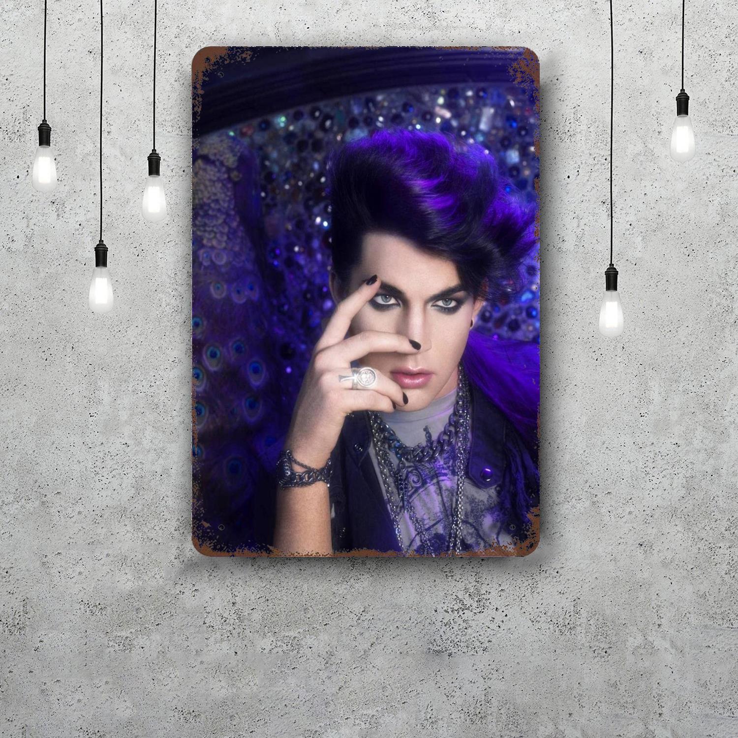 

Adam Lambert Funny Bar Metal Sign Retro Plaque Vintage Sign Alcohol Drinker Pub Club Man Cave Kitchen Wall Decoration 20x30cm（7.8x11.8inch）