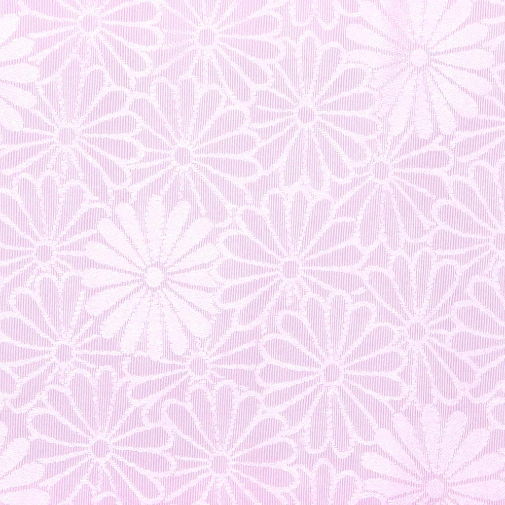 Frontbelte med mykt for kvinner [KYOETSU] plate, plate, lang, belte, kjerne,