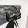 2025 autumn and winter new high-end printed bag women's atmosphere trendy and versatile single shoulder messenger handbag small square bag