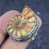 Natural Ammonite Fossil Gemstone 925 Sterling Silver Jewelry Ring Size 8 z0w77