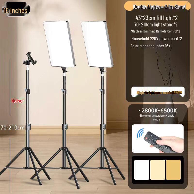 Professional Mobile Live Streaming Fill Light for Outdoor Video Shoots