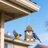 KX4B Weather Resistant Metal Bird Feeders With Anti Rusts Coating Squirrels Proof Large Storage Easyly Maintenance For