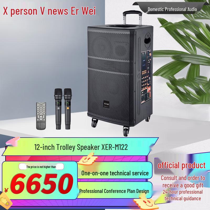 Xunwei Professional Audio & Video Conference Solutions (CN version)