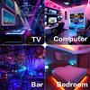 5V RGB Neon LED Strip Light Waterproof Flexible USB Neon Tape with Bluetooth APP & Remote for TV Backlight DIY Gaming Decor