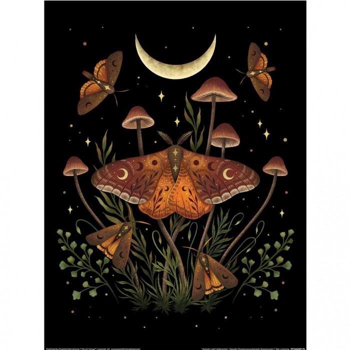 Episodic Drawing Autumn Light Underwings Print