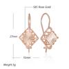 Unusual  Rose Gold Color Long Drop Earrings For Women Geometric Hollow Flower Accessories Daily Vintage Jewelry