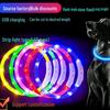 Perros – Collares y correas
