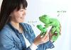 TST Advance Chameleon Leo-kun 6294 RAINBOW