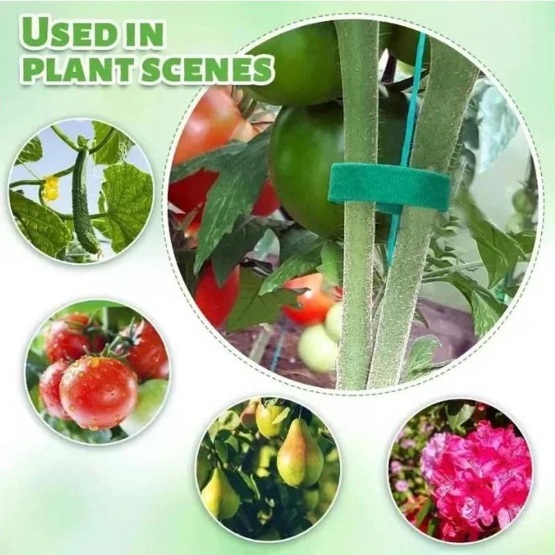 Self Adhesive Nylon Plant Tie Reusable Plant Hook Loop Ties Green Fastener Tape Bamboo Cane Wrap Support Home Garden Accessories