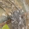 Light Luxury Window Screen Bedroom Living Room Balcony Light Transmission Blackout Embroidery Embroidery Gauze Curtain Dream Modern