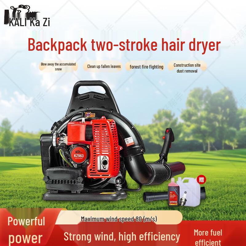 KAZZ High-Power Backpack Gasoline Blower CN Plug (adapter Included)