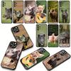 Wildschwein Schwein Handyhülle für Samsung Galaxy A36 A17 A26 A07 A35 A54 A53 A13 A33 A34 S8 S9 S20 S21 FE S10 Plus Hülle