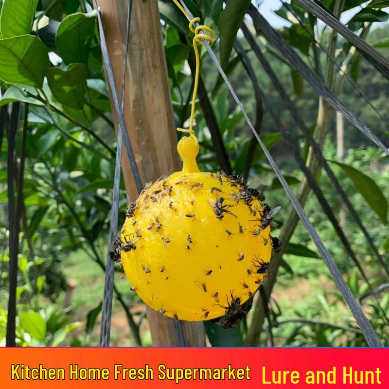 Bee and Fly Attractant Sticky Citrus Trap Ball for Fruit Trees and Melon Orchards