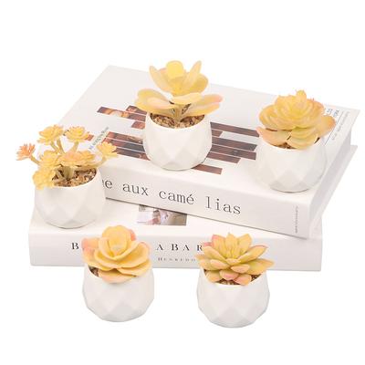 Simulation Succulent Plant Ceramic Potted Plant False Succulent Bonsai False Flower Interior Decoration Ornament Green Plants