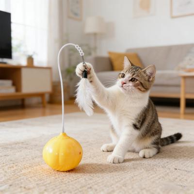 Kedi – Kedi Oyuncakları