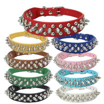 Köpek – Köpek Tasmaları ve Tasma Kayışları