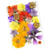 25Pcs Natural Pressed Dried Flower Leaves Set For Jewelry Soap Making